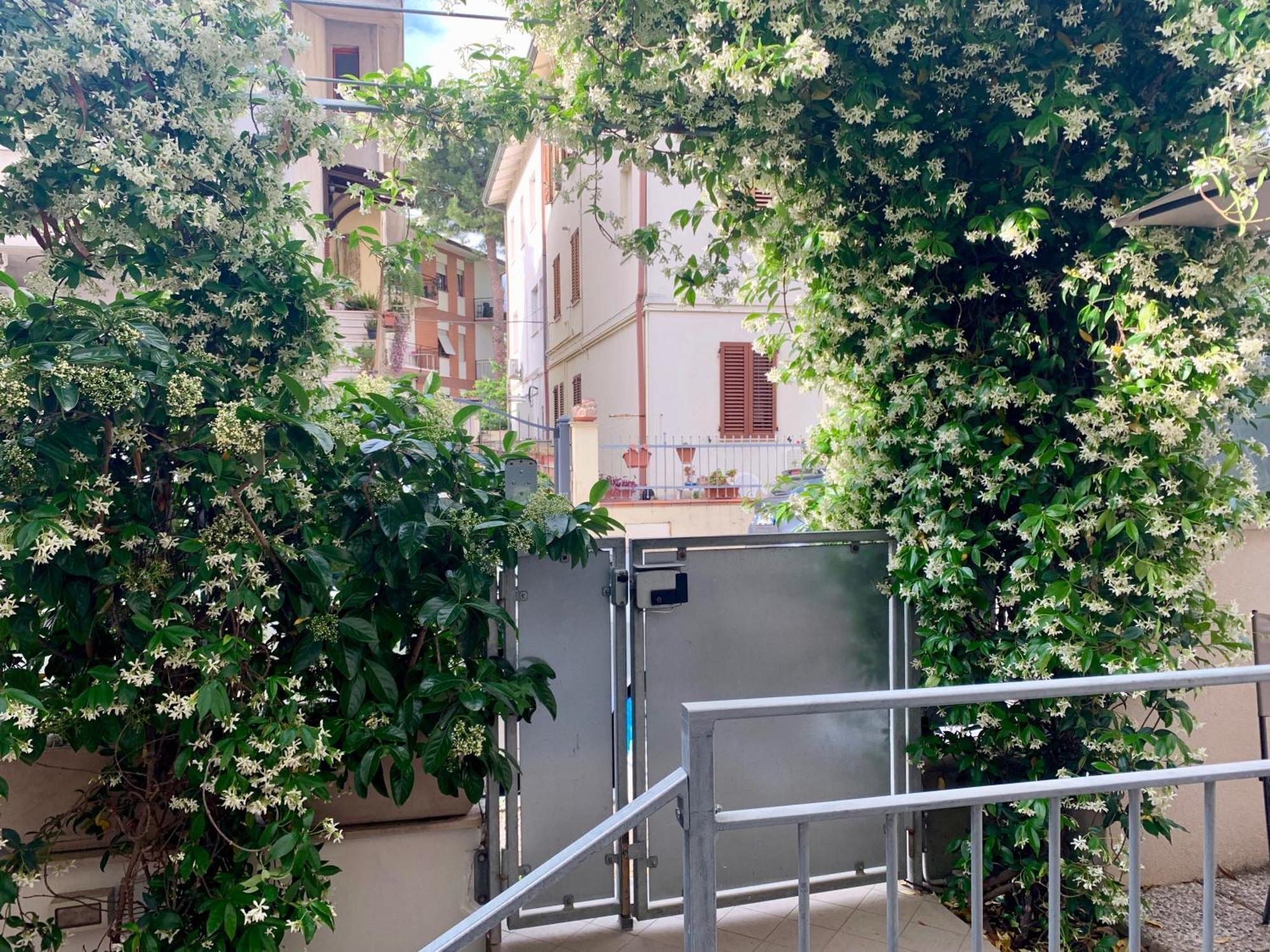 B&B Villa Pini Civitanova Marche Esterno foto